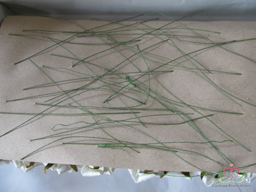 Equadorroos Platte Roos Creme-Groen DOOS 