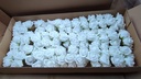 foam roos 8 cm EVI Wit DOOS Bundel 5st Mooie grote rozen Puur wit