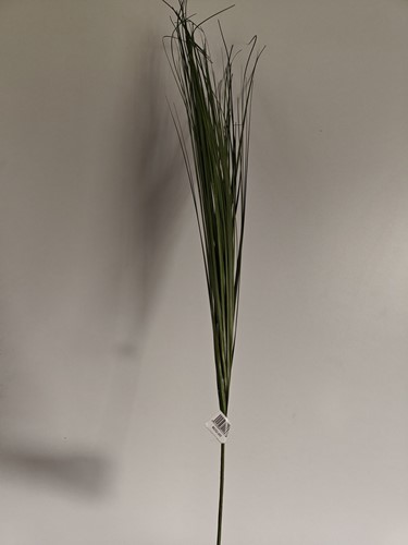 Leuke Berengras toef op draad ca. 88cm Berengras toef