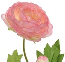 Ranonkel Camelia ROZE L.8cm W.10cm H.57cm / stuk 