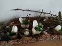 Schors Kurkschors Cork flat ca. 60cm - Natural 