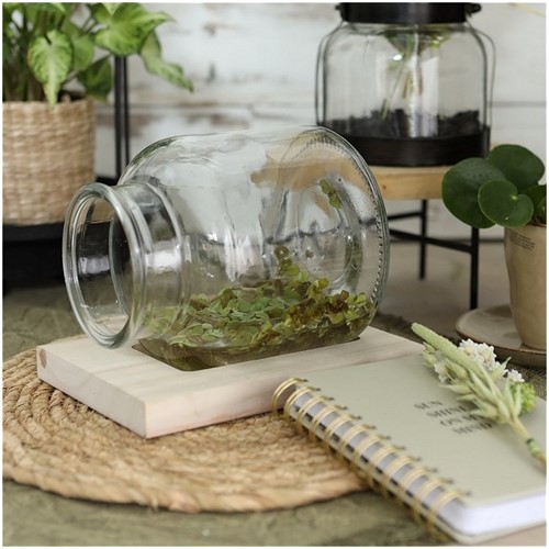 Terrarium l.14,5 w.11,5 h.12,5 cm /stuk excl decoratie