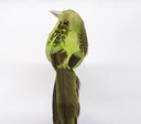 Vogeltjes LenteGroen lowbudget 12 stuks 