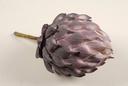 Artisjok Purple 15 cm foam/st 
