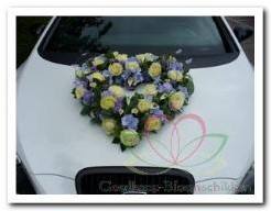 Auto hart open 50 cm oase voor verse bloemen Met zuignappen