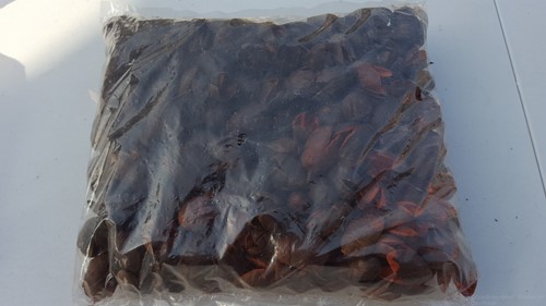 Bakuli Orange/Cognac zak ca. 500 gr Natuurlijk bloemschikmateriaal