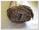 Baenblad sm rol 35 cm Natuurlijk bloemschikmateriaal