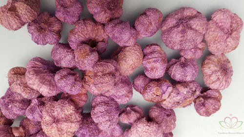 Beach fruit Paras peepal AMETHYST Wild apple ca. 250gr Mini pompoentjes