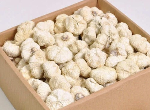 Beach fruit Paras peepal gebleekt 500gr Witte Mini Pompoentjes