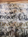 Bedrukt  Lint Greenleaf 70mm 80 cm MatGoud opdruk Eucalypthus 