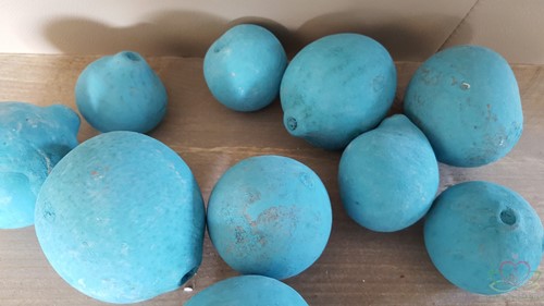 Bellani Azuurblauw Wash 10 stuks Natuurlijk bloemschikmateriaal
