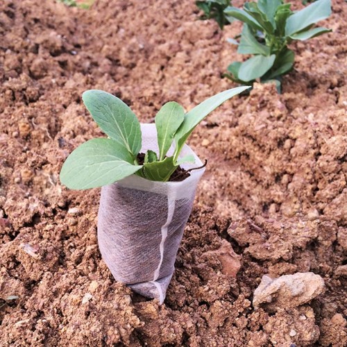 Biologischafbreekbare opkweekzakjes 8*10cm Pak100 Biologisch afbreekbaar