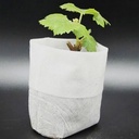 Biologischafbreekbare opkweekzakjes 8*10cm Pak100 Biologisch afbreekbaar