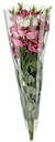 Bloemenhoezen 60x40x15cm ca. 50st  OPP30mu PAK 