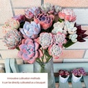 Boekethouders voor vetplanten  SET VAN 5 Succulentboekethouder