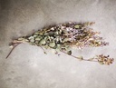 Bosje Eucalyptus gedroogd DHZ [ zonder accesoires] 