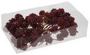Bramen Besjes op draad doos 12* 6 st 16 mm stuks Rood Bramen Berry
