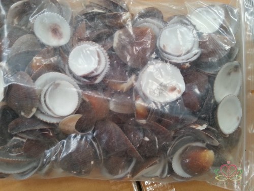 Brown Cockel per kg Bruine Cockel 