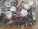 Brown Cockel per kg Bruine Cockel 