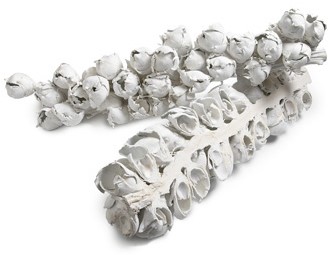 Cacho Cachio Coco half 60-70cm frosted white 1pc Dadelstronk