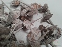 Cedarbase frosted ca. 50 stuks Ideaal voor Groendecoratie en Bloemschikken