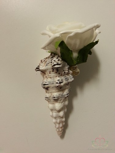 Cerithium Nodulosum schelpen 1 kilo