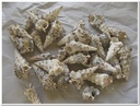 Cerithium Nodulosum schelpen 1 kilo