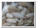 Ceritium Vertagus ca. 1 kilo