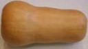 Chief F1  - 50 zaden pompoenzaden