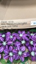 CLEMATIS SPRAY PURPLE 78 cm boeket