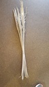 Coco Bahia +flower Grey bundel ca. 10 stuks Natuurlijk bloemschikmateriaal