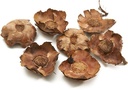 Coco flower Naturel 250 gram