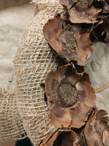 Coco flower Naturel 250 gram