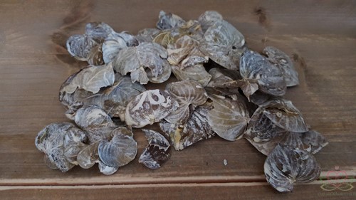 Coracao leaves Frosted Groene blaadjes 150gram zak 