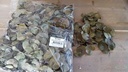 Coracao leaves natural Groene blaadjes 150gram zak