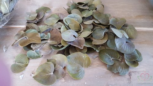 Coracao leaves natural Groene blaadjes 150gram zak