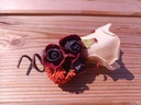 Corsage Roos Autumn CPA 870 Cava Bordeaux Orange Maatwerk