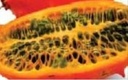 Cucumis Kiwano metuliferus - Basiseenheid Sierkomkommertjes