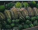 Cucumis Mix = sier - Basiseenheid Sierkomkommertjes