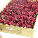 CURVE ROSE CAD Rood Per stuk Flowerwall bruidsboeket