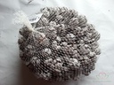 Cypressus Frosted 1 kilo Cypres
