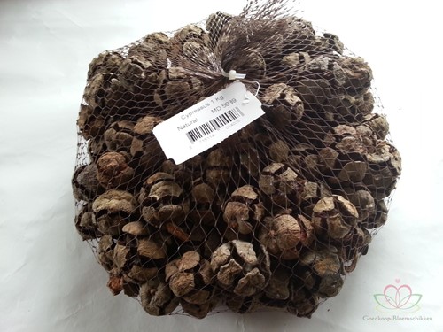 Cypressus naturel 1 kilo 