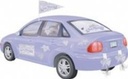 Decoratie kit trouwauto 15 delig 