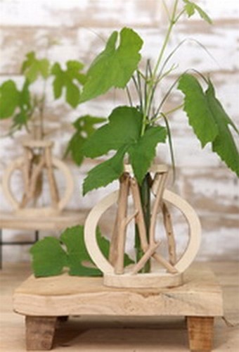 Decoratief Drijfhout met reageerbuis l.14 w.7 h.18.5 cm ook leuk voor stekjes