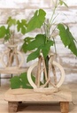 Decoratief Drijfhout met reageerbuis l.14 w.7 h.18.5 cm ook leuk voor stekjes