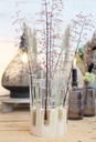Decoratief Wood base met reageerbuis 12 cm h.20cm ook leuk voor stekjes