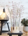 Decoratief Wood base met reageerbuis 12 cm h.20cm ook leuk voor stekjes