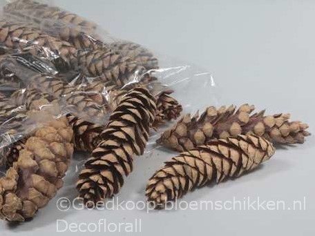 dennenappel STROBUS Naturel Zak 3 kilo Pinecone Strobus 3kg