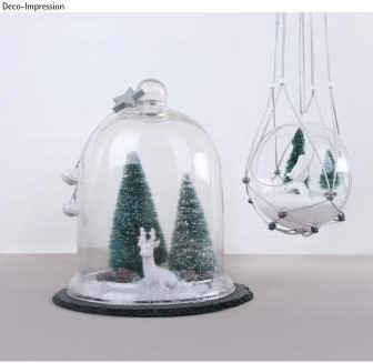 Dennenboompjes besneeuwd, 9+12 cm gesorteerd 4st Succulent