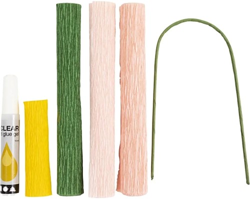 DIYkit Pakket Hobbyset Crêpepapier, Pioenrozen schoencadeautje